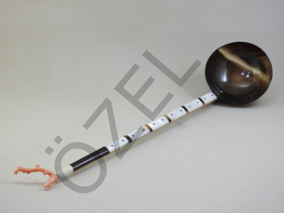 Mother of pearl handled spoon 3